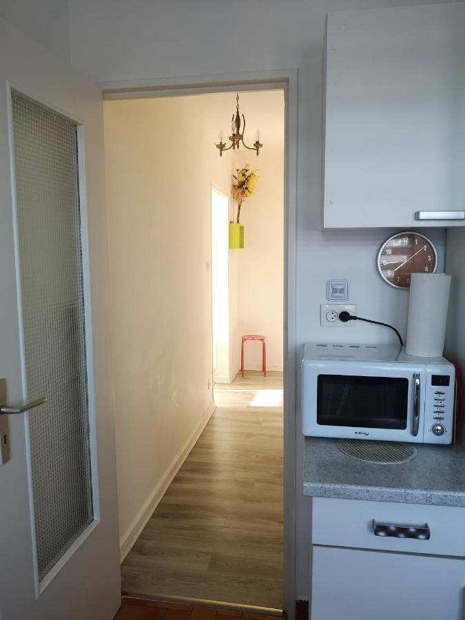 Bel Appartement, Grand Balcon Et Parking Prive Sélestat Екстериор снимка