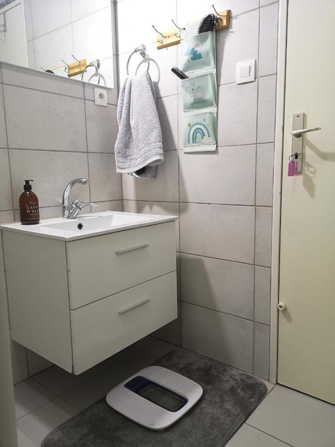 Bel Appartement, Grand Balcon Et Parking Prive Sélestat Екстериор снимка