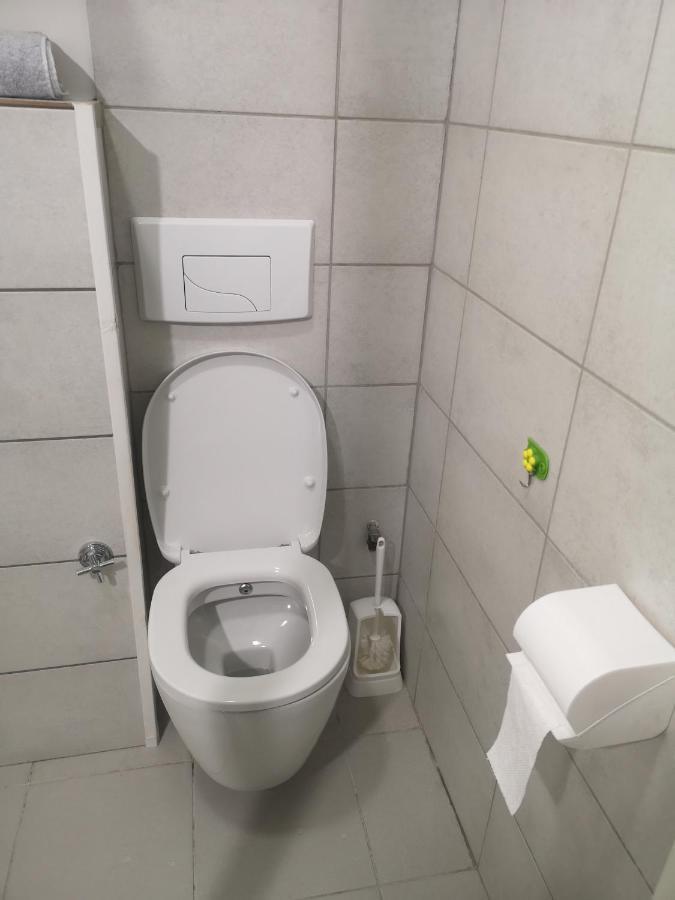 Bel Appartement, Grand Balcon Et Parking Prive Sélestat Екстериор снимка